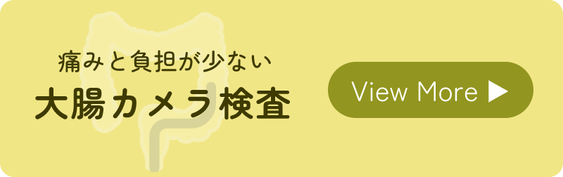 大腸カメラ検査