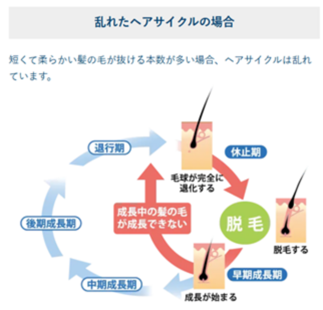 乱れたヘアサイクル