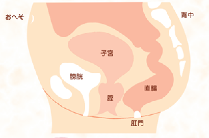 おしりの病気
